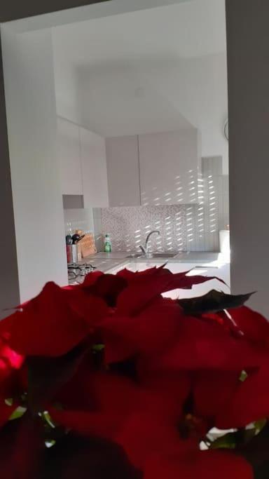 Lo Tsanty Casa Vacanza Аоста Екстериор снимка